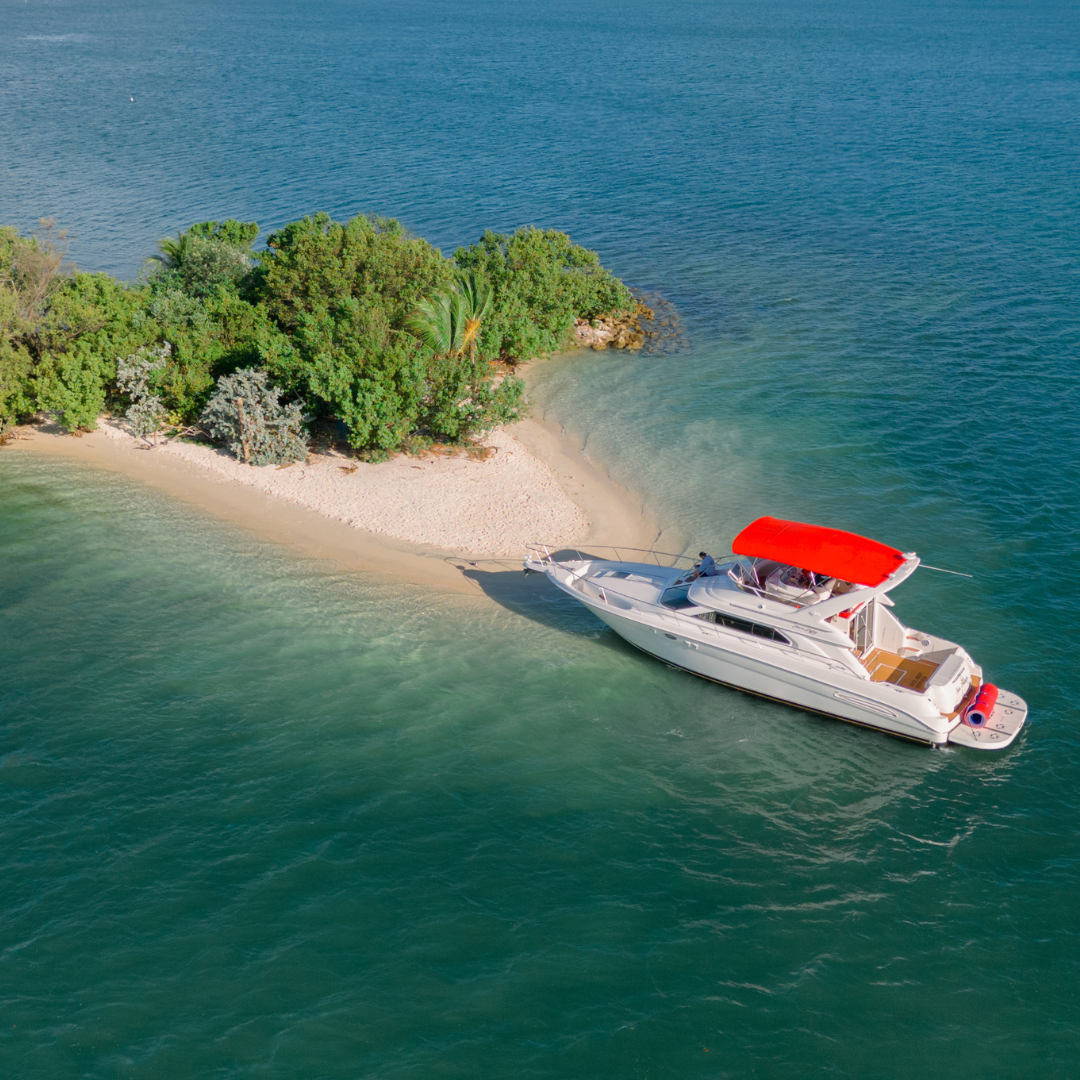 55 ft Sea Rey Epic IV