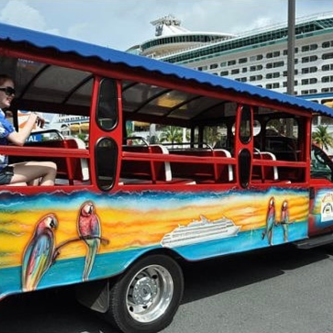 Safari Island Tour
