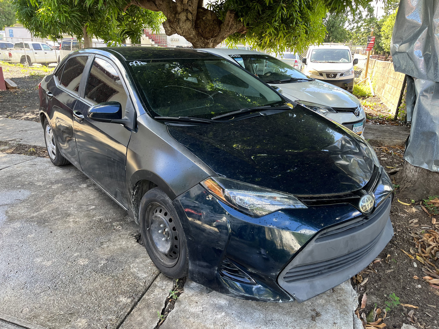 Toyota Corolla 2019